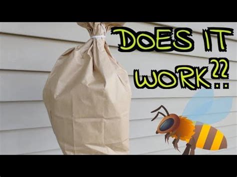 keep away bees with fake wasp bag|paper bags and wasp nests.